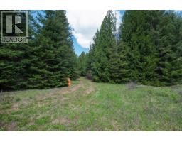 Highway 22 Highway Lot# 3, Rossland, BC V0G1Y0 Photo 26