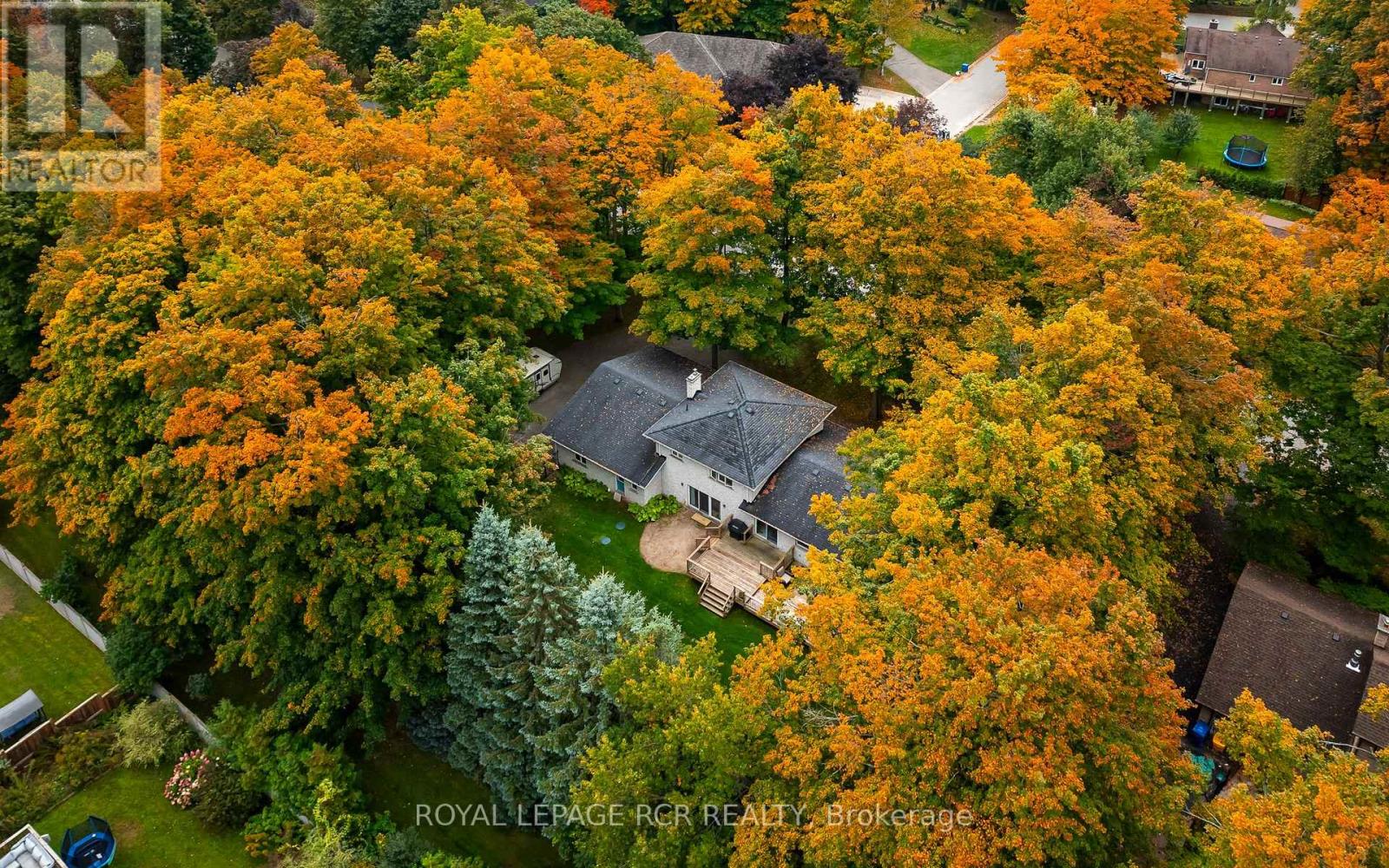 113 BIRCH GROVE, Shelburne — photo 7