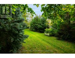 113 Birch Grove, Shelburne, ON L9V2W3 Photo 40