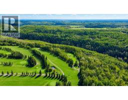 B703064 Rge Rd 82, Rural Grande Prairie No  1, County Of, AB T0H3S0 Photo 39