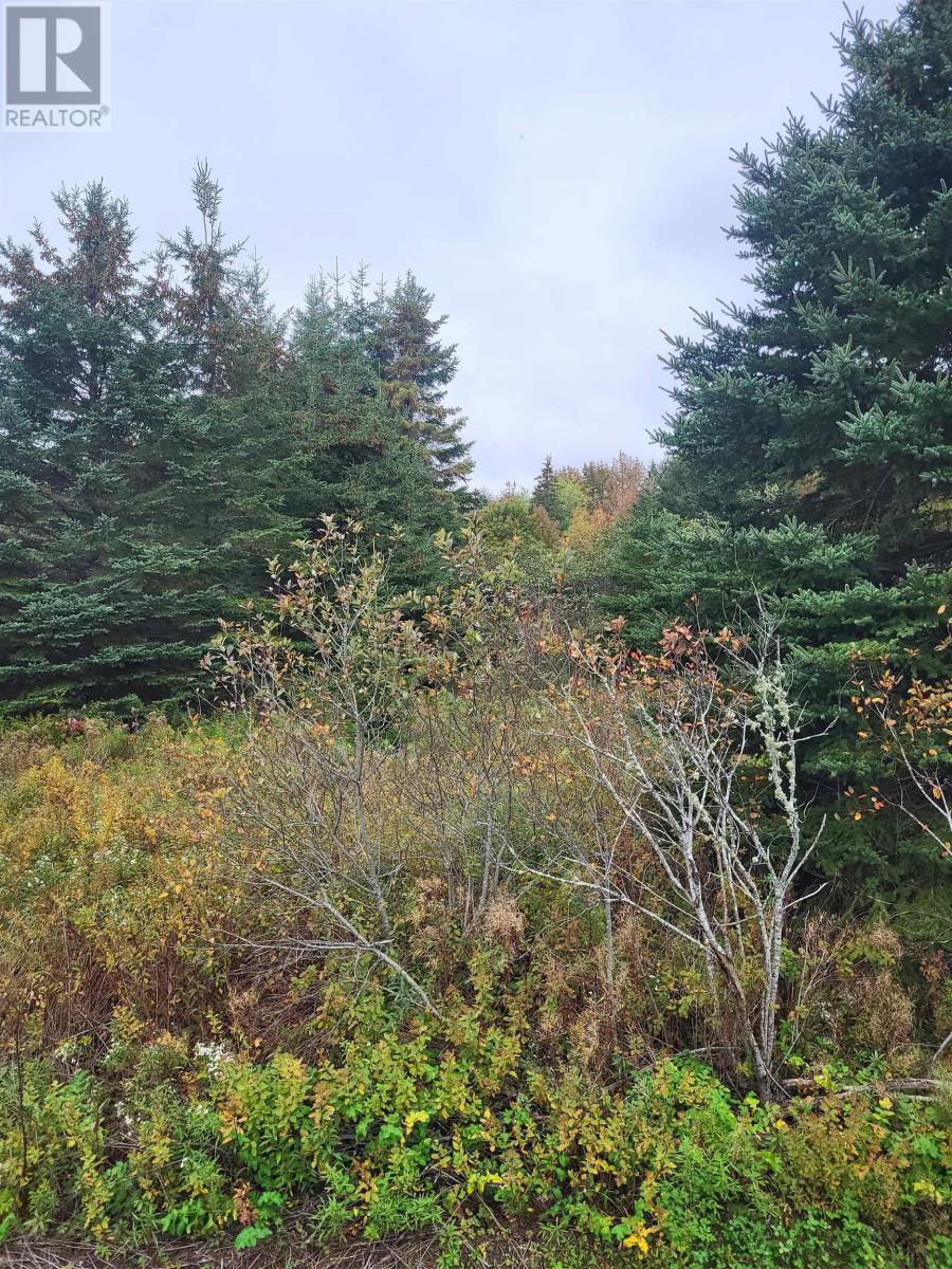 Property 2 of 2 of Highway 224