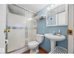 38 Raven Dr, Sherwood Park, AB T8A0C7 Photo 33