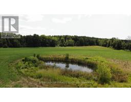 4026 Highway 12, Ramara, ON L0K1B0 Photo 15