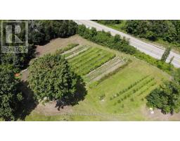 4026 Highway 12, Ramara, ON L0K1B0 Photo 26