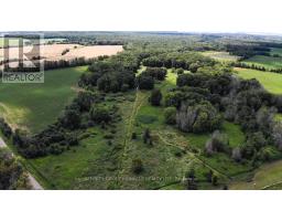 4026 Highway 12, Ramara, ON L0K1B0 Photo 7