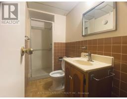 207 Maple Avenue, Richmond Hill, ON L4C2J4 Photo 14