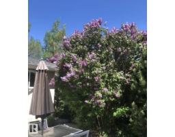 11519 42 Av Nw, Edmonton, AB T6J0W4 Photo 48