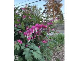 11519 42 Av Nw, Edmonton, AB T6J0W4 Photo 51