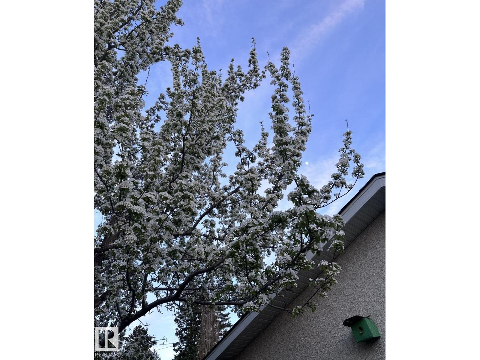 11519 42 AV NW - 49