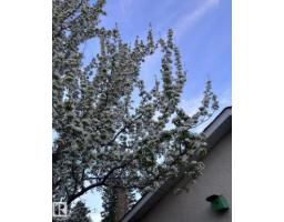 11519 42 Av Nw, Edmonton, AB T6J0W4 Photo 49