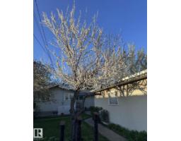 11519 42 Av Nw, Edmonton, AB T6J0W4 Photo 54