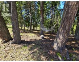 2358 Dunn Lake Road, Clearwater, BC V0E1N0 Photo 69
