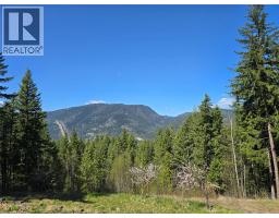 2358 Dunn Lake Road, Clearwater, BC V0E1N0 Photo 72
