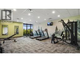 1900 Concession Rd 6 Unit# 205, Windsor, ON N9H0P1 Photo 13