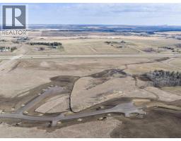 168106 Lunar Springs Crescent W, Rural Foothills County, AB T1S2P6 Photo 12