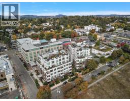 404 1216 Carlisle Ave, Esquimalt, BC V0A0H5 Photo 24