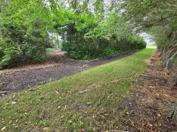 316 Fraser Street, Pilot Mound, MB R0G1P0 Photo 26