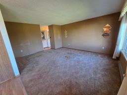 Laundry room - 316 Fraser Street, Pilot Mound, MB R0G1P0 Photo 9