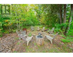 4819 Opeongo Road, Ottawa, ON K0A3M0 Photo 39