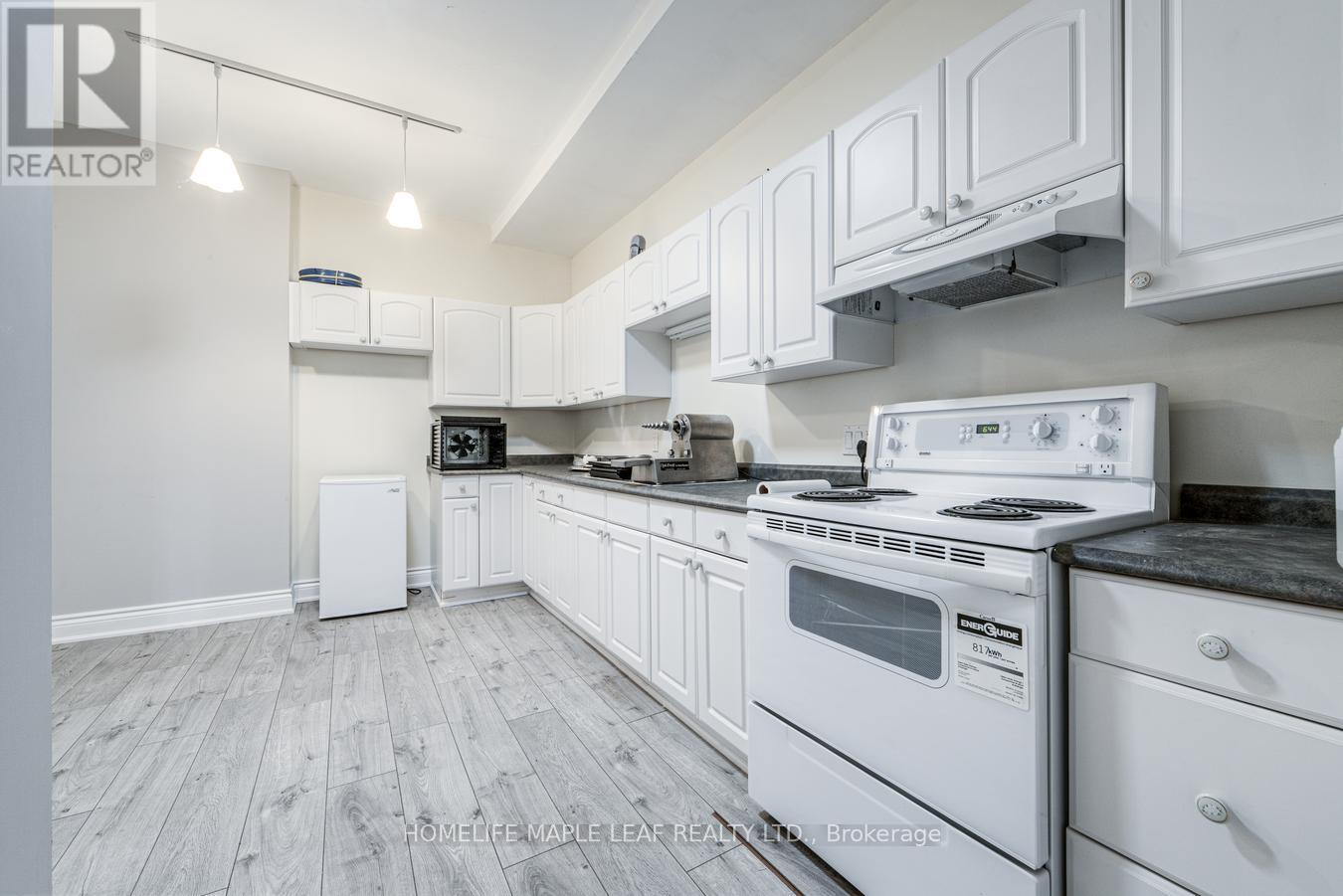12 Adamson Street North, Halton Hills, ON photo 39