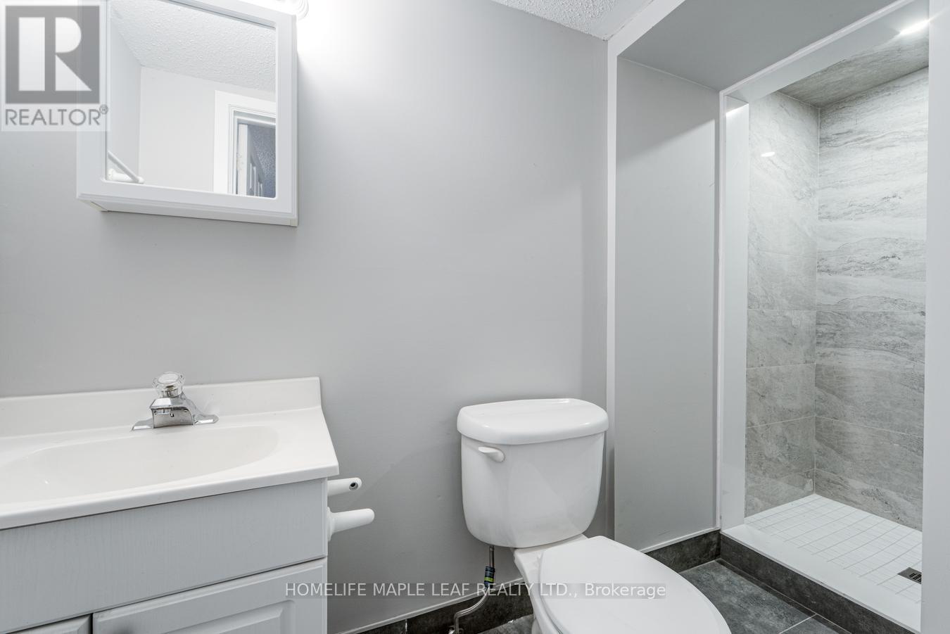 12 Adamson Street North, Halton Hills, ON photo 45