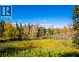 31064 Range Road 52, Rural Mountain View County, AB T0M0R0 Photo 36