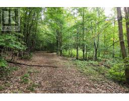 2180-2186 Hwy 141, Muskoka Lakes, ON P0B1L0 Photo 32