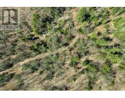 2180-2186 Hwy 141, Muskoka Lakes, ON P0B1L0 Photo 38
