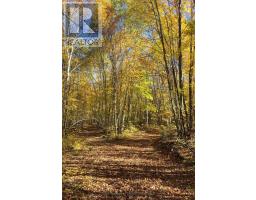 2180-2186 Hwy 141, Muskoka Lakes, ON P0B1L0 Photo 31
