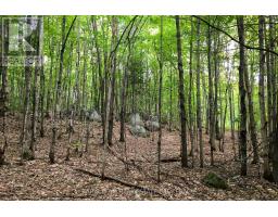 2180-2186 Hwy 141, Muskoka Lakes, ON P0B1L0 Photo 33