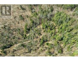 2180-2186 Hwy 141, Muskoka Lakes, ON P0B1L0 Photo 37