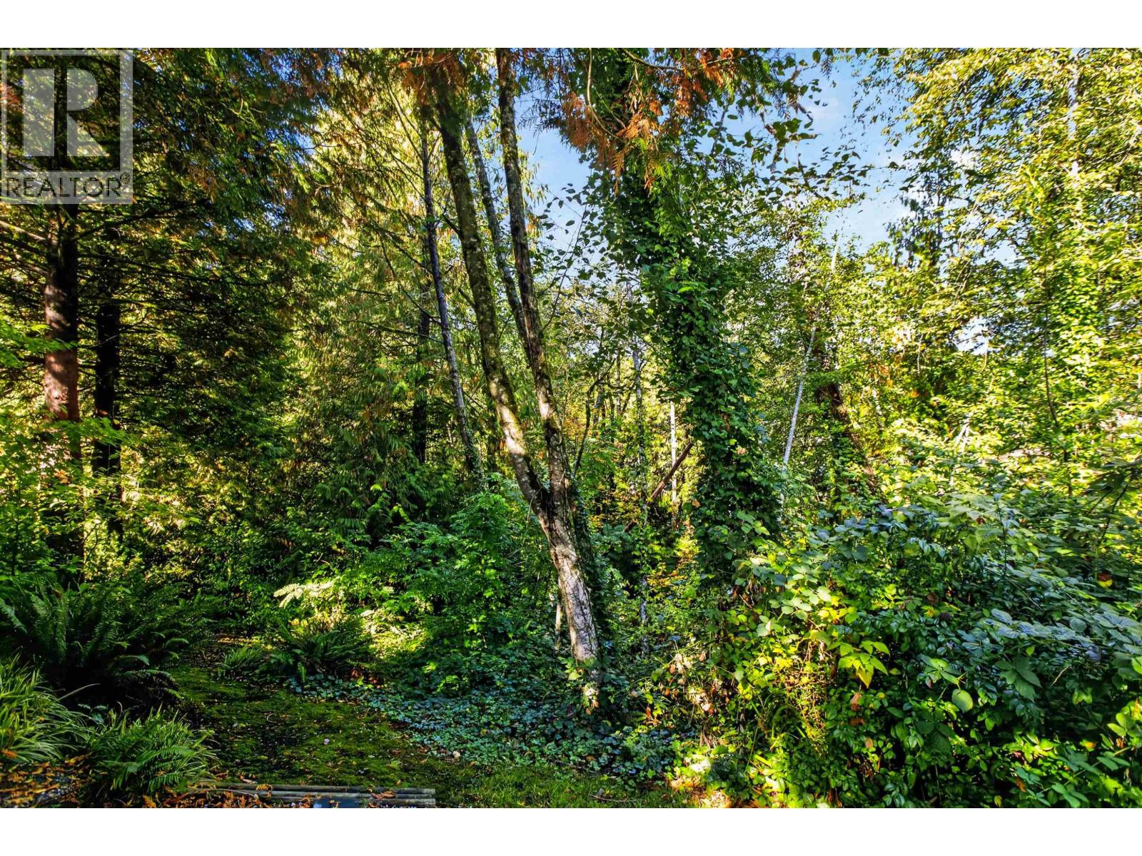 11 22751 HANEY BYPASS, Maple Ridge