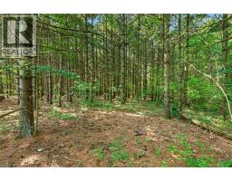 147 Concession 1 Road S, Cayuga, ON N0A1E0 Photo 38