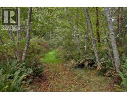 665 Fox Rd, Quadra Island, BC V0P1N0 Photo 65