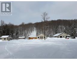 495 Gravel Pit Lane, Wollaston, ON K0L1P0 Photo 42