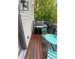 110 Greenfield Avenue, Ottawa, ON K1S5H7 Photo 17
