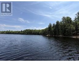 1 W/a Lake Wahwashkesh, Whitestone, ON P0A1G0 Photo 13