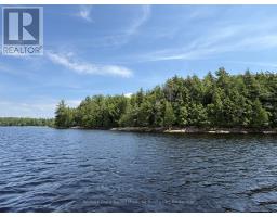 4 W/a Lake Wahwashkesh, Whitestone, ON P0A1G0 Photo 10