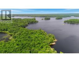 4 W/a Lake Wahwashkesh, Whitestone, ON P0A1G0 Photo 6