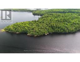 6 W/a Lake Wahwashkesh, Whitestone, ON P0A1G0 Photo 9