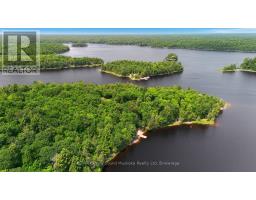 7 W/a Lake Wahwashkesh, Whitestone, ON P0A1G0 Photo 6