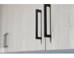 #302 9504 182 St Nw, Edmonton, AB T5T3A7 Photo 11