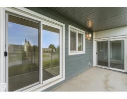 #302 9504 182 St Nw, Edmonton, AB T5T3A7 Photo 18