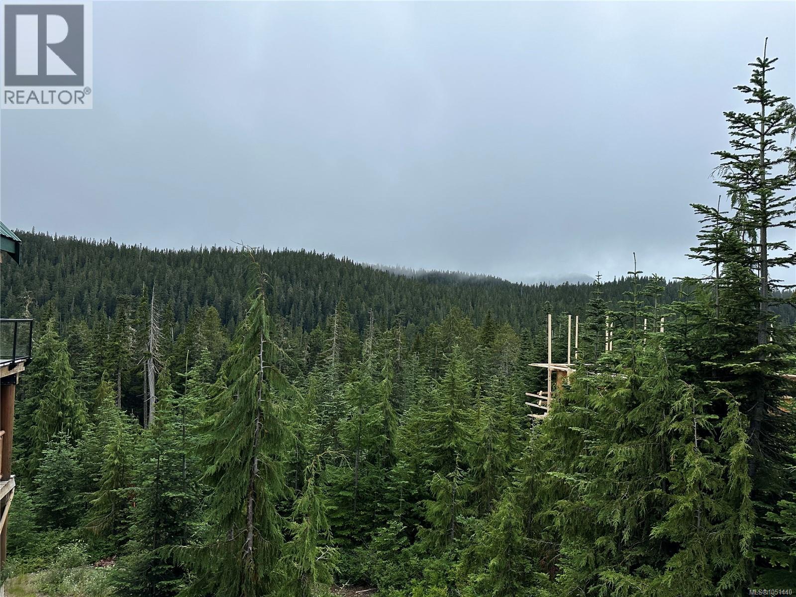 625 ARROWSMITH Ridge, Courtenay