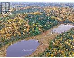 Lt 7 Hanlan Township, Hearst, ON P0L1N0 Photo 10