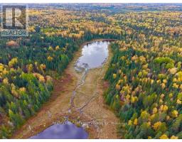 Lt 7 Hanlan Township, Hearst, ON P0L1N0 Photo 11