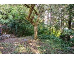 32646 Antelope Avenue, Mission, BC V2V5J3 Photo 30
