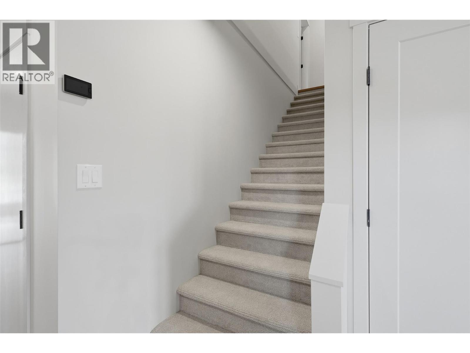 #411 38 RUE CHEVAL NOIR - 19