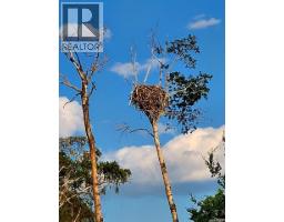 Lot 4 Dixon View, Invergordon Rm No  430, SK S0K1A0 Photo 12