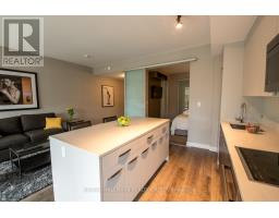 210 - 111 Champagne Avenue, Ottawa, ON K1S5V3 Photo 14